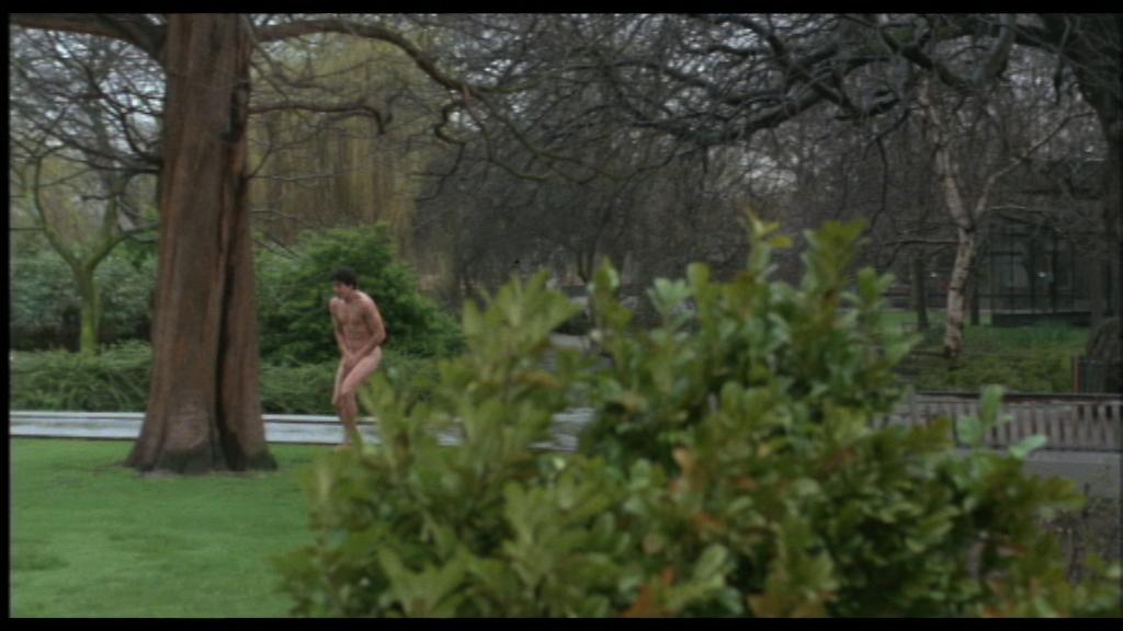 After a night of stalking and killing, David wakes up naked at the zoo, a daunting predicament in the heart of London.
